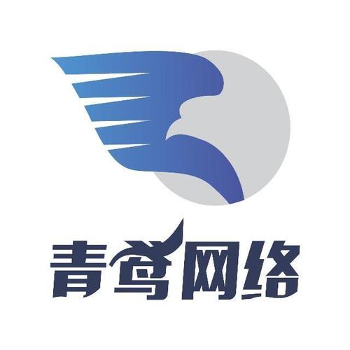上海青鸢网络科技 立足上海信息科技高地，驱动数字未来